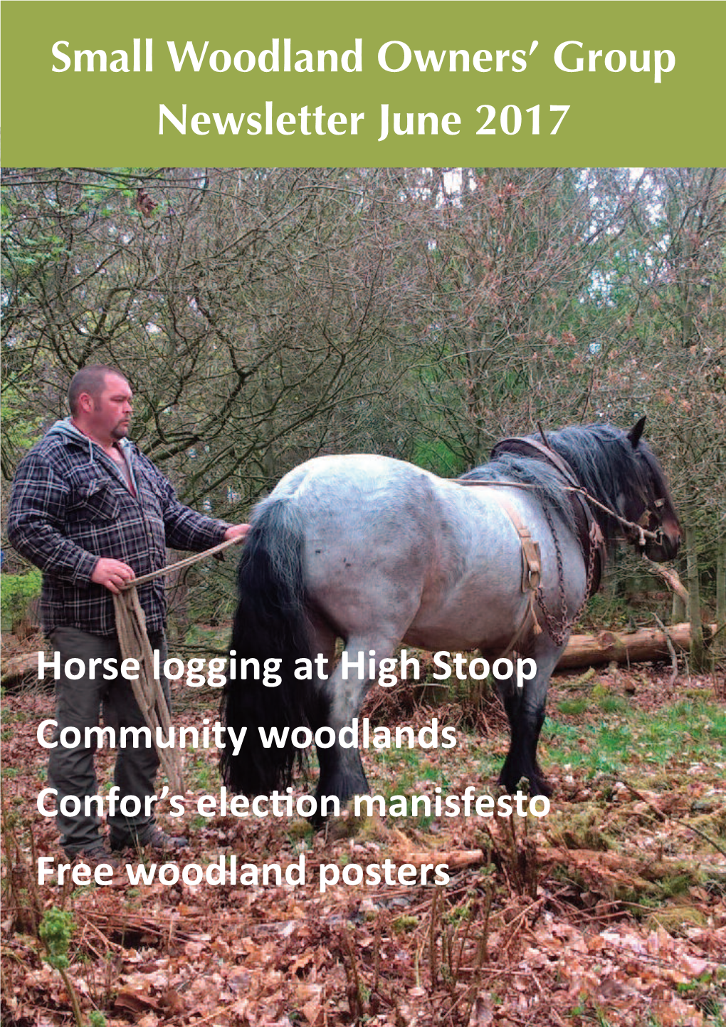 Small Woodland Owners' Group Horse Logging at High Stoop
