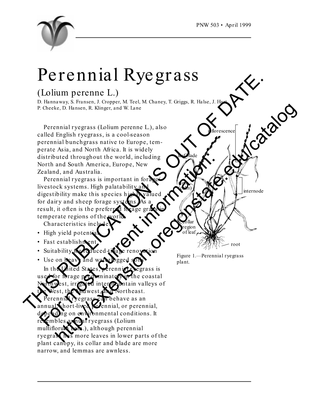 Perennial Ryegrass (Lolium Perenne L.) D