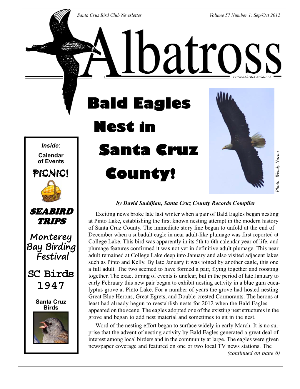Bald Eagles Santa Cruz Nest in County!