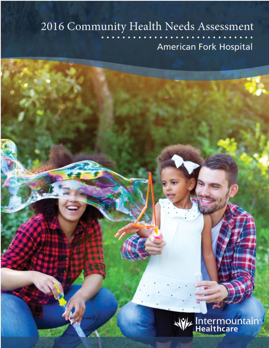 Intermountain American Fork Hospital Community Health Needs Assessment 2016