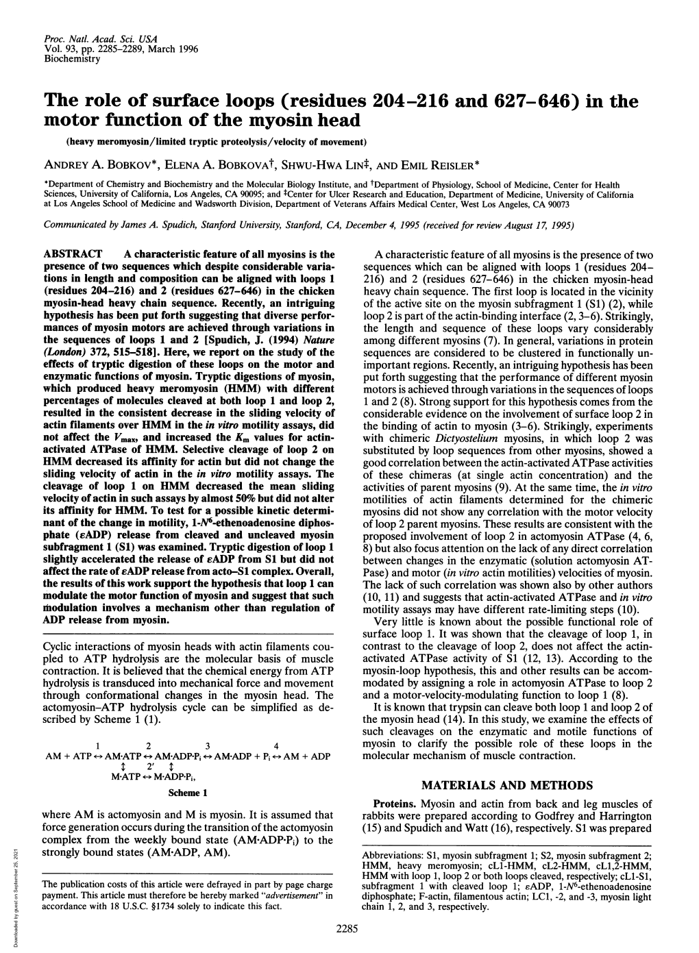 In the Motor Function of the Myosin Head (Heavy Meromyosin/Limited Tryptic Proteolysis/Velocity of Movement)