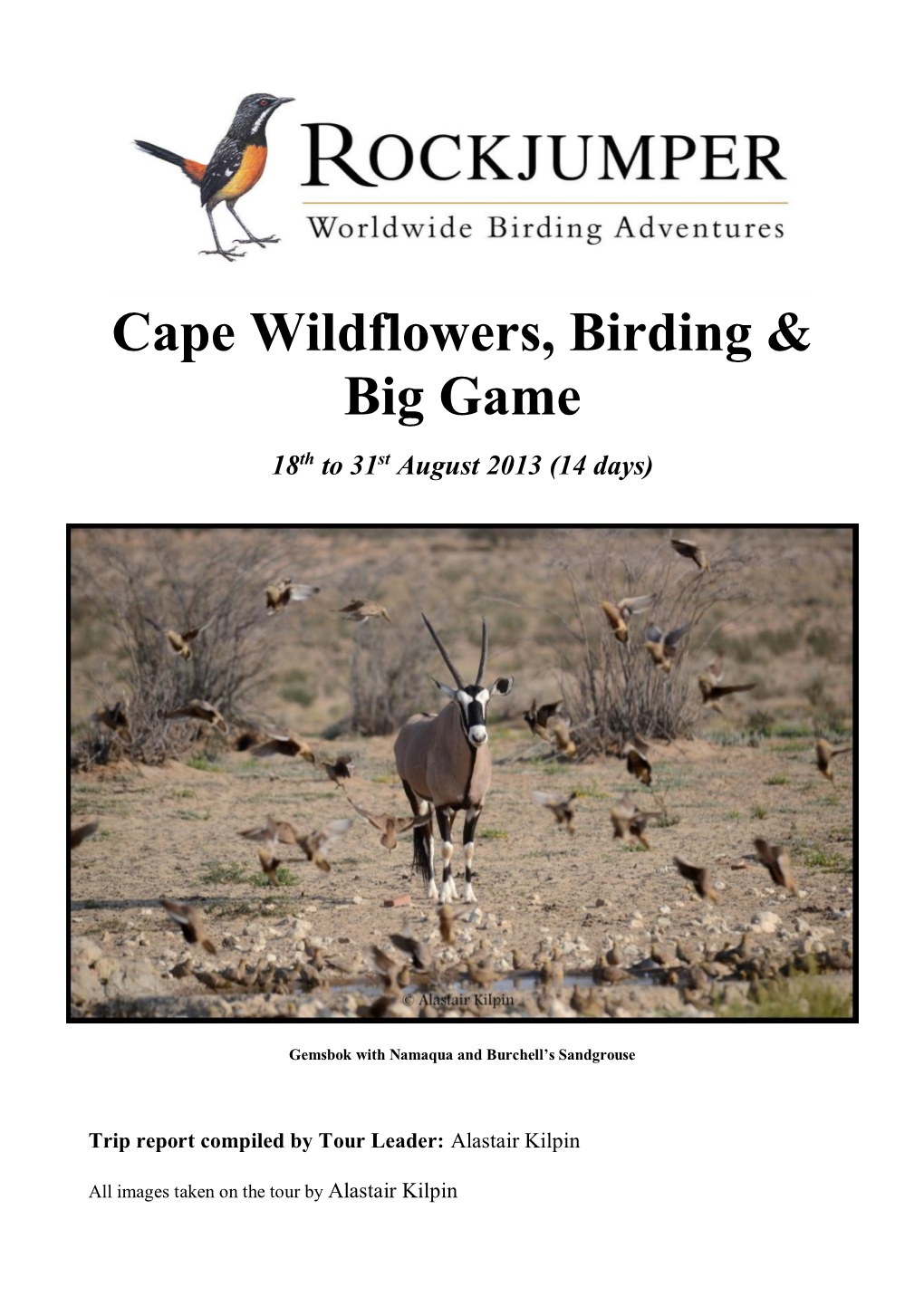 Cape Wildflowers, Birding & Big Game