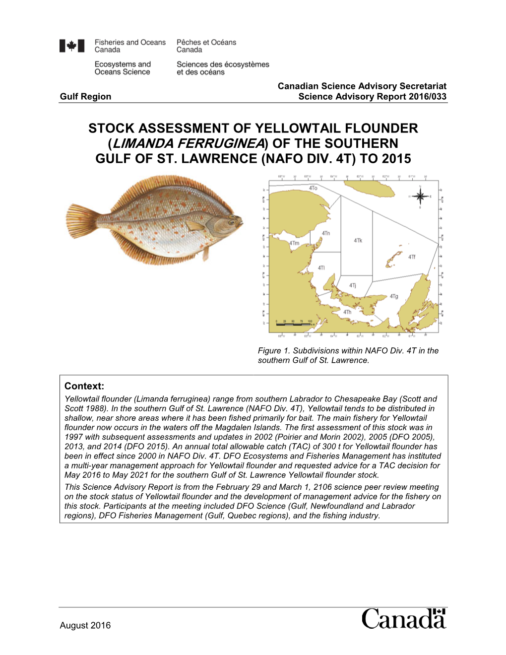 Stock Assessment of Yellowtail Flounder (Limanda Ferruginea) of the Southern Gulf of St