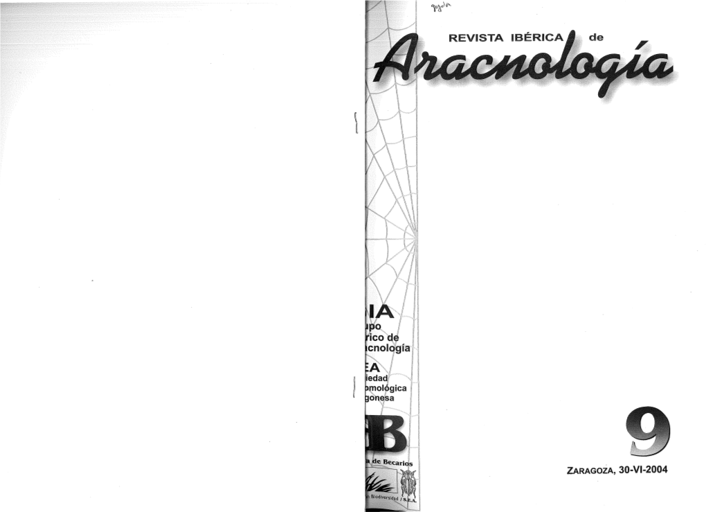 Revista Zaragoza, 30 .. Vi-2004