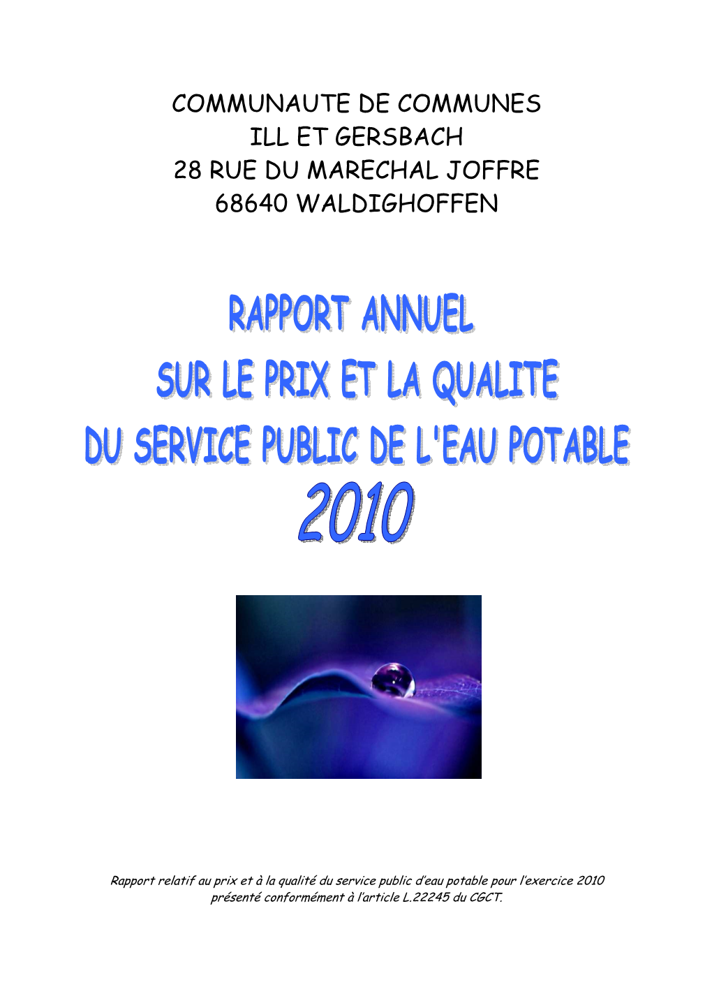 2010-Rapport