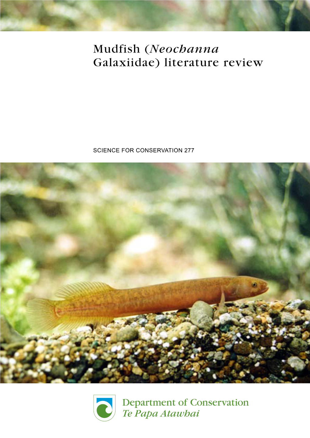 Mudfish (Neochanna Galaxiidae) Literature Review