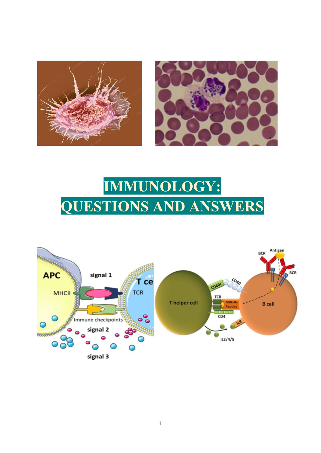 Immunology: Questions and Answers