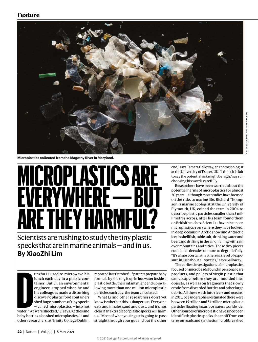 Microplastics Are Everywhere