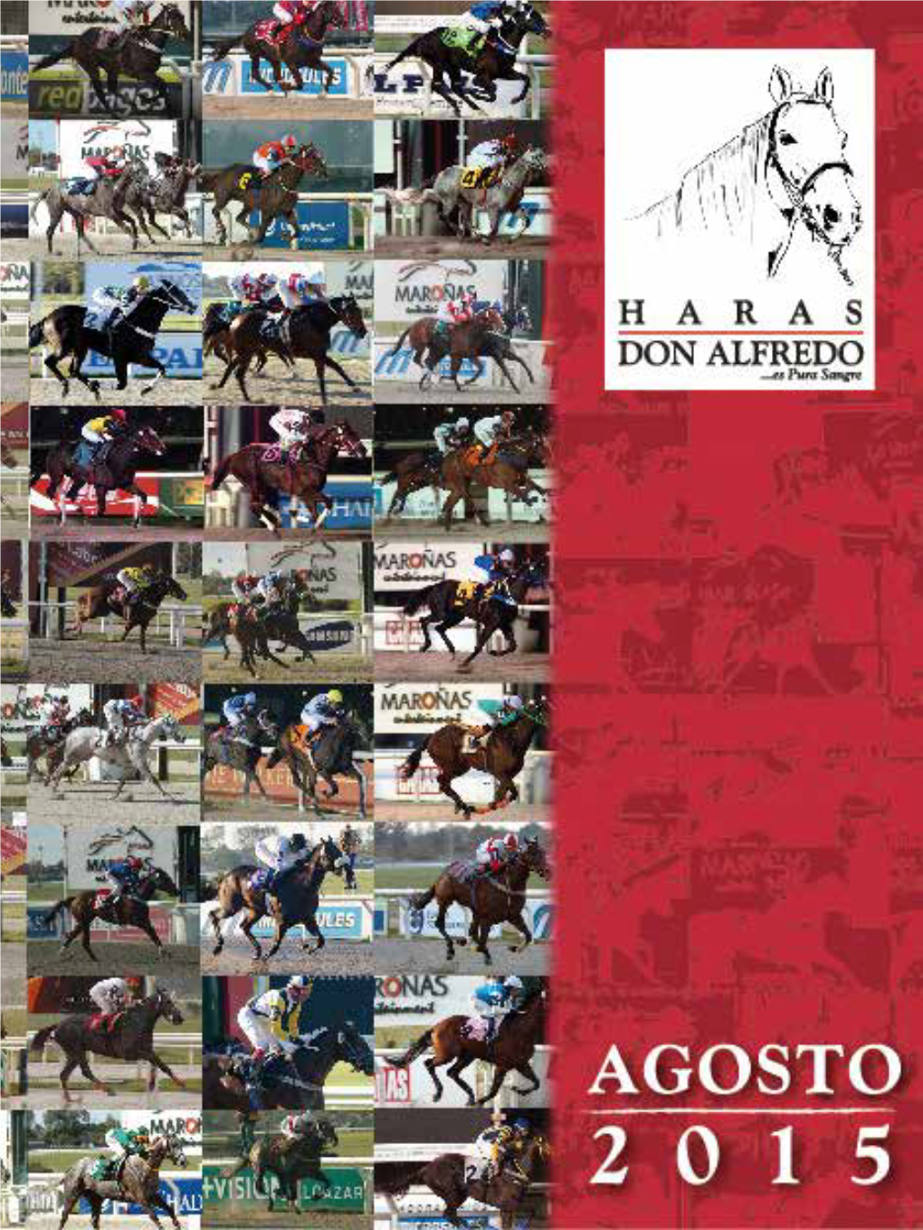 Haras Don Alfredo - 1 Notas