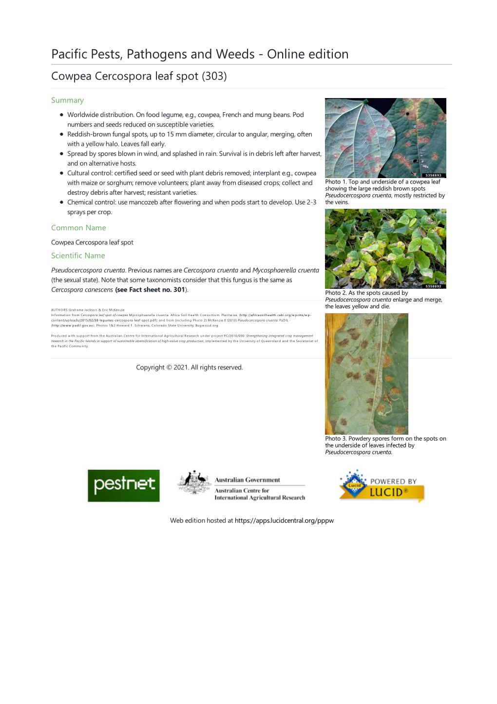 Cowpea Cercospora Leaf Spot (303)