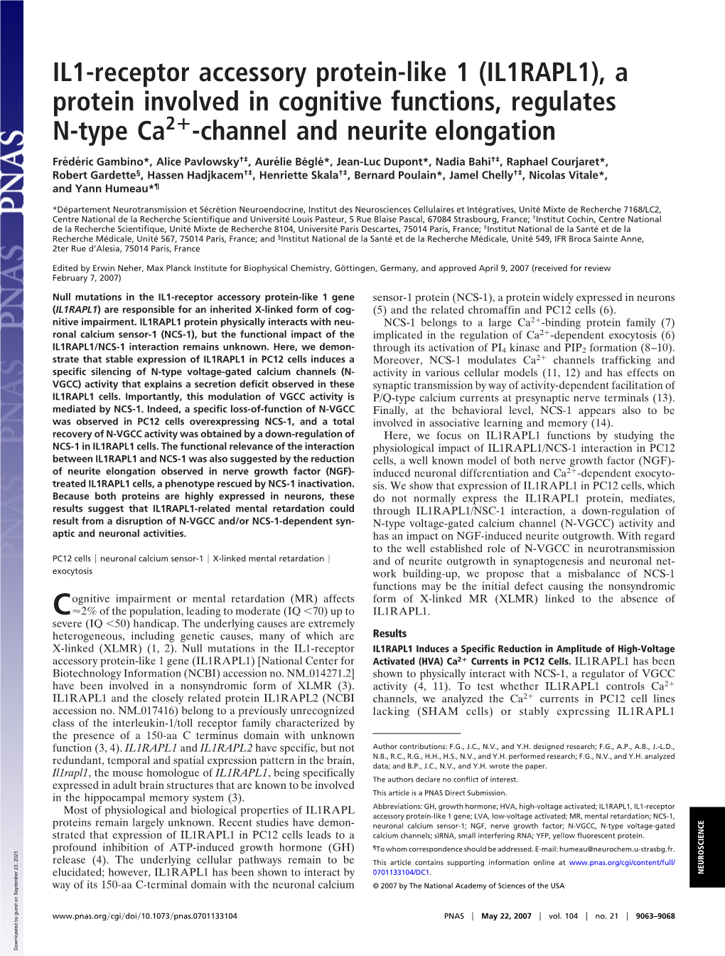 IL1-Receptor Accessory Protein-Like 1 (IL1RAPL1), a Protein Involved in Cognitive Functions, Regulates N-Type Ca2؉-Channel and Neurite Elongation