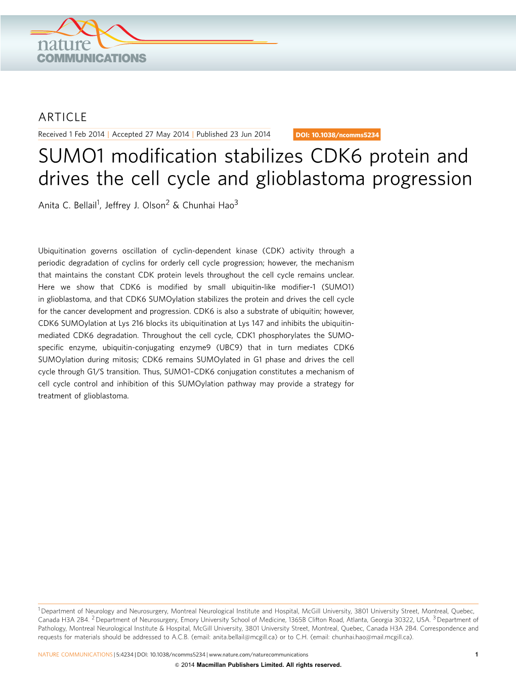 SUMO1 Modification Stabilizes CDK6 Protein and Drives the Cell Cycle And