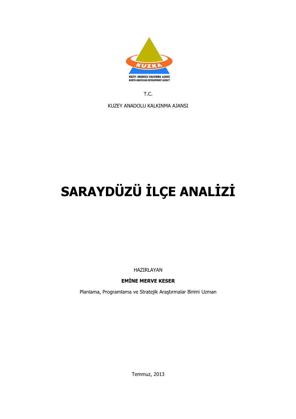 Saraydüzü İlçe Analizi 1.652 KB / .Pdf