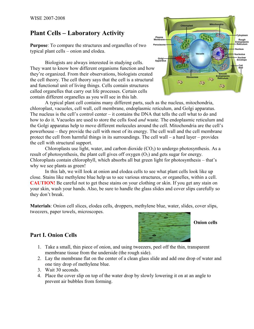 Plant Cells Laboratory Activity