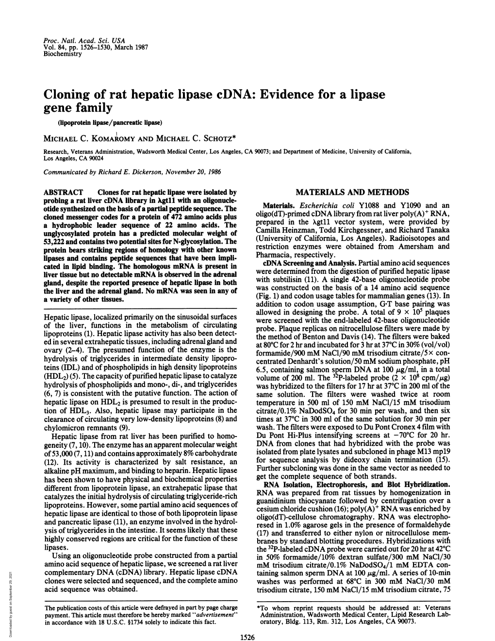 Cloning of Rat Hepatic Lipase Cdna: Evidence for a Lipase Gene Family (Lipoprotein Lipase/Pancreatic Lipase) MICHAEL C