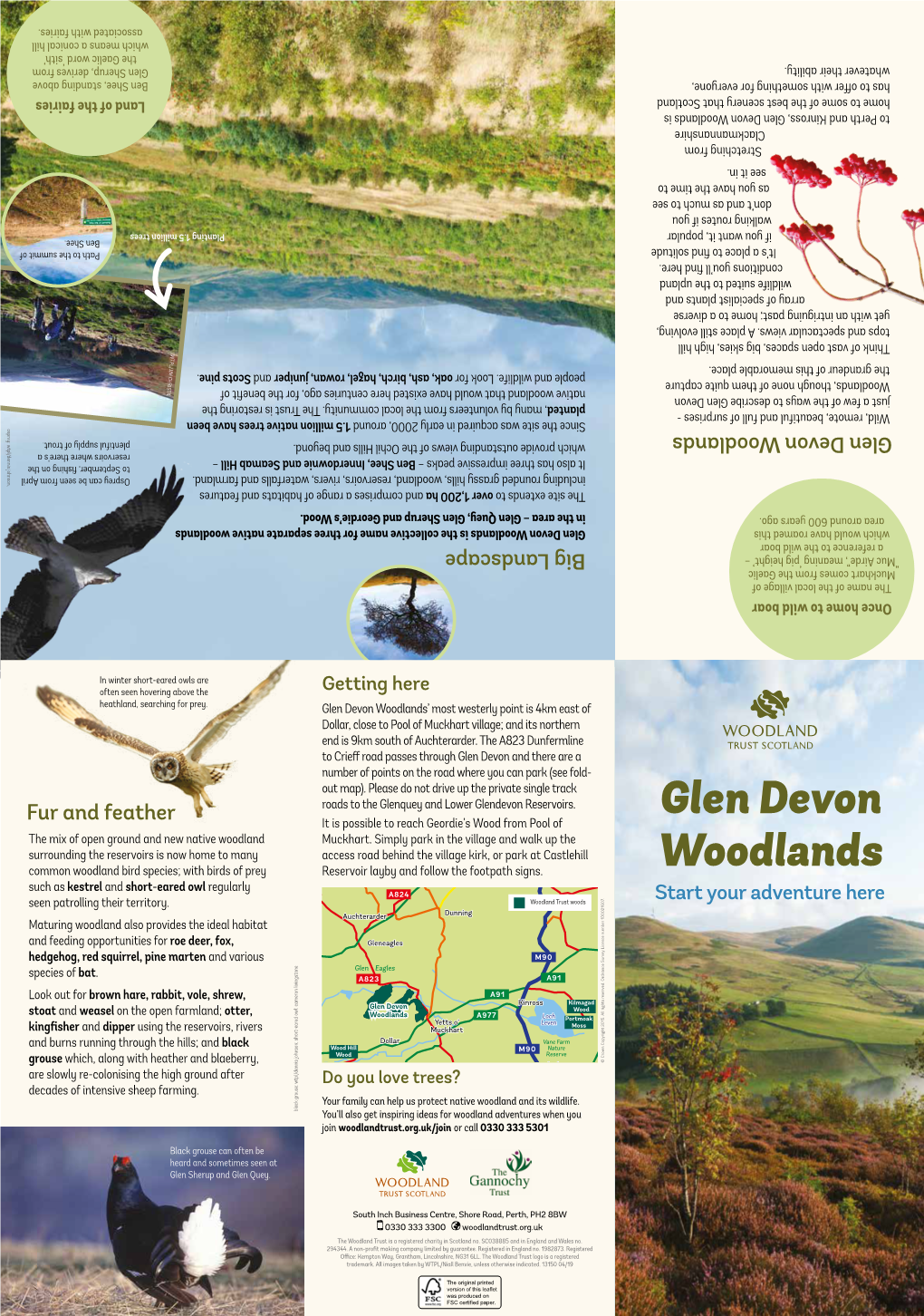 Glen Devon Woodlands’ Most Westerly Point Is 4Km East of of East 4Km Is Point Westerly Most Woodlands’ Devon Glen