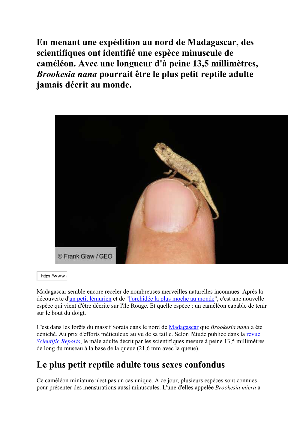 À Madagascar , Le Plus Petit Reptile Au Monde