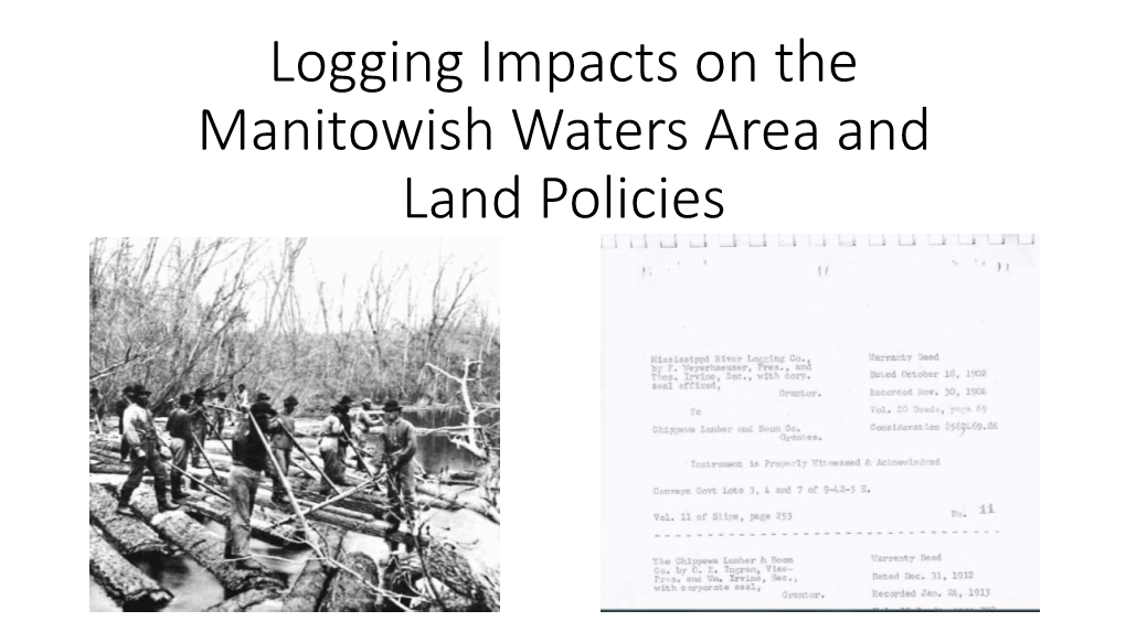 Logging and Land Policy