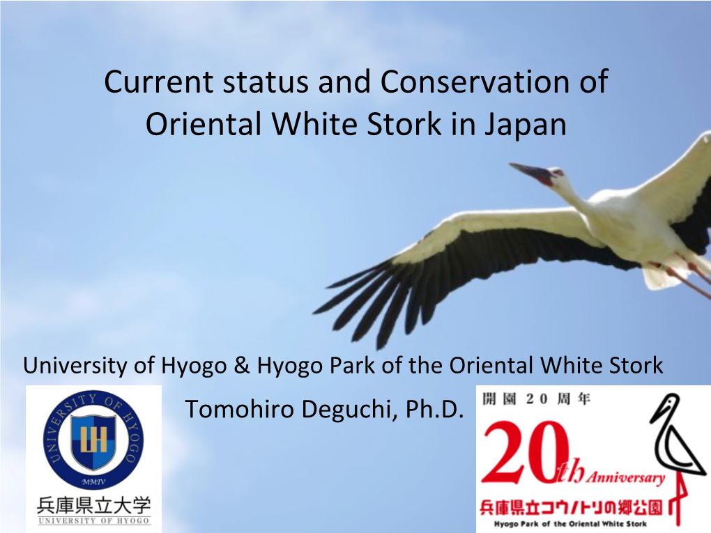 Current Status and Conservation of Oriental White Stork in Japan