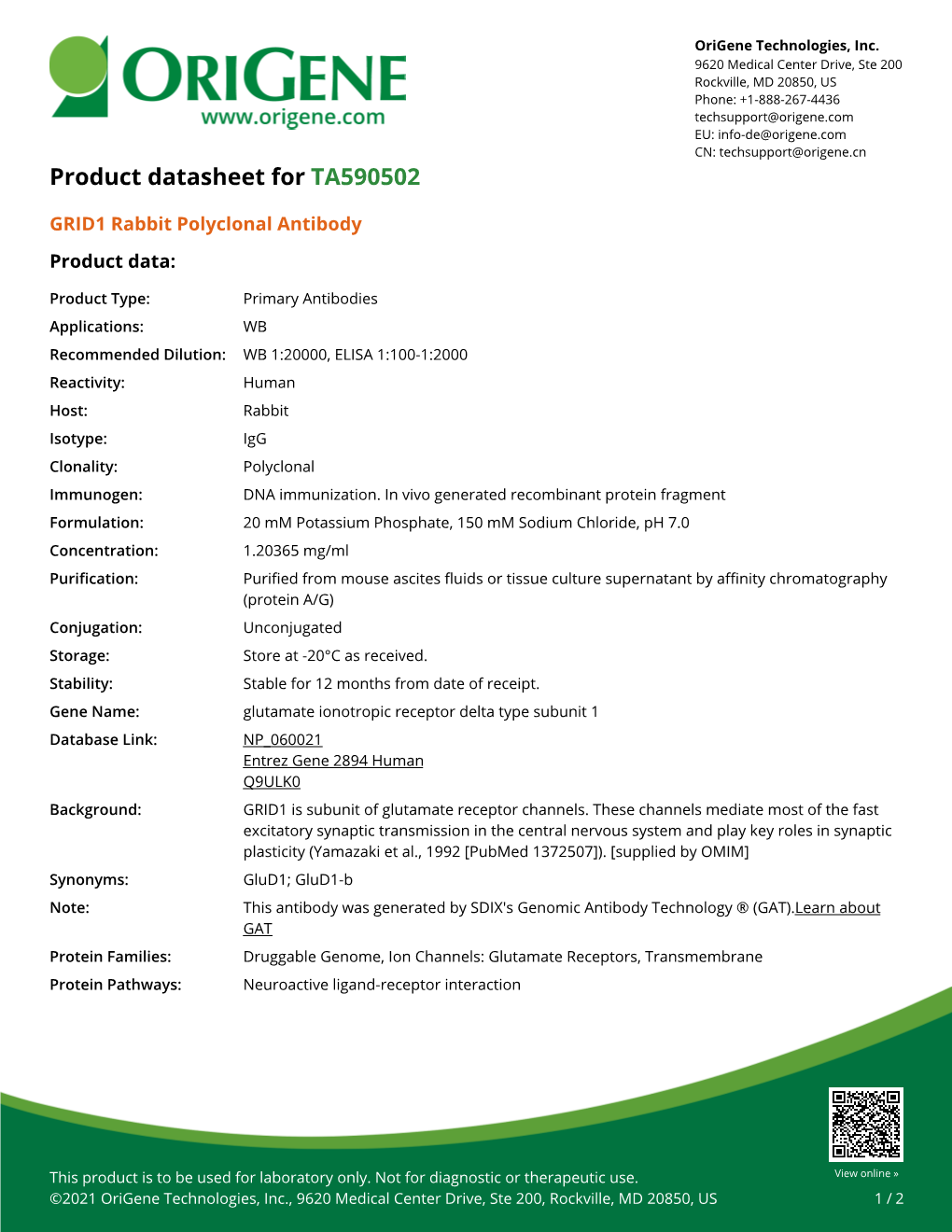 GRID1 Rabbit Polyclonal Antibody – TA590502 | Origene