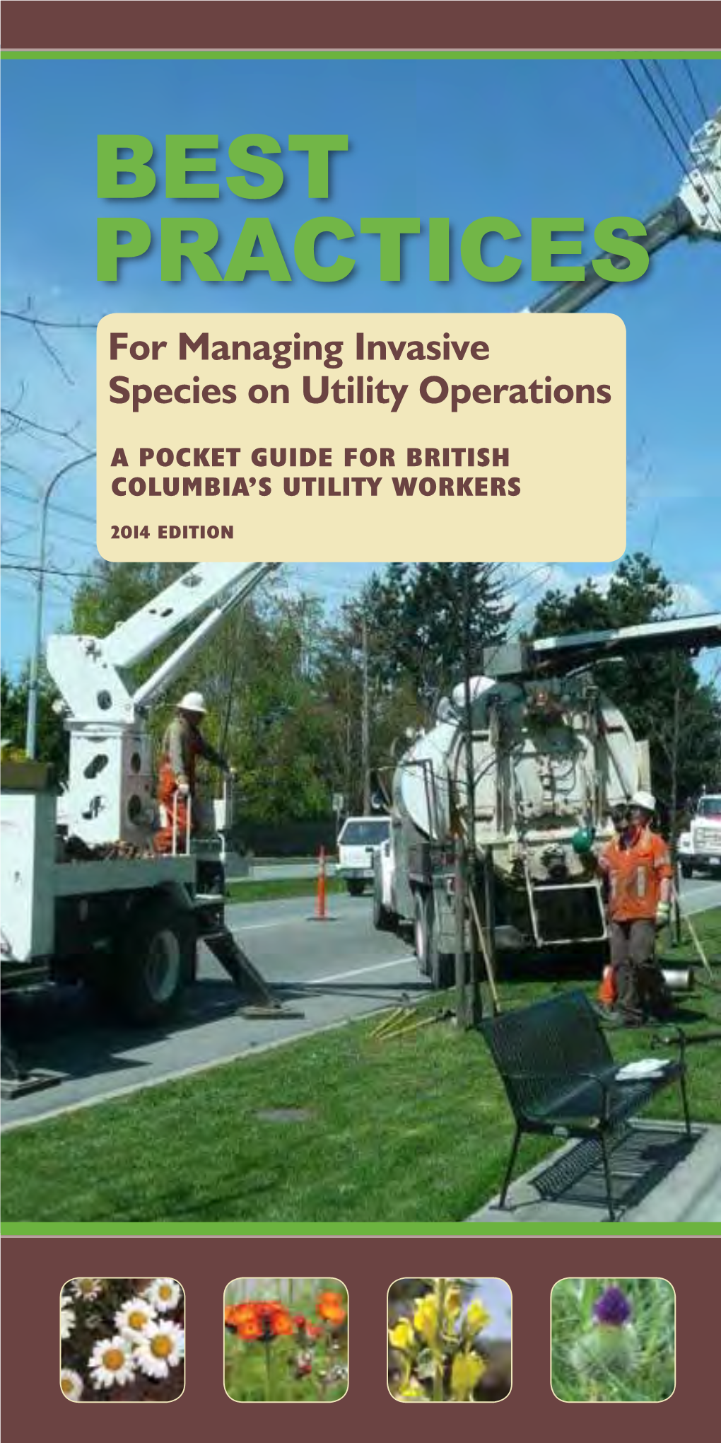 BEST PRACTICES for Managing Invasive Species on Utility Operations