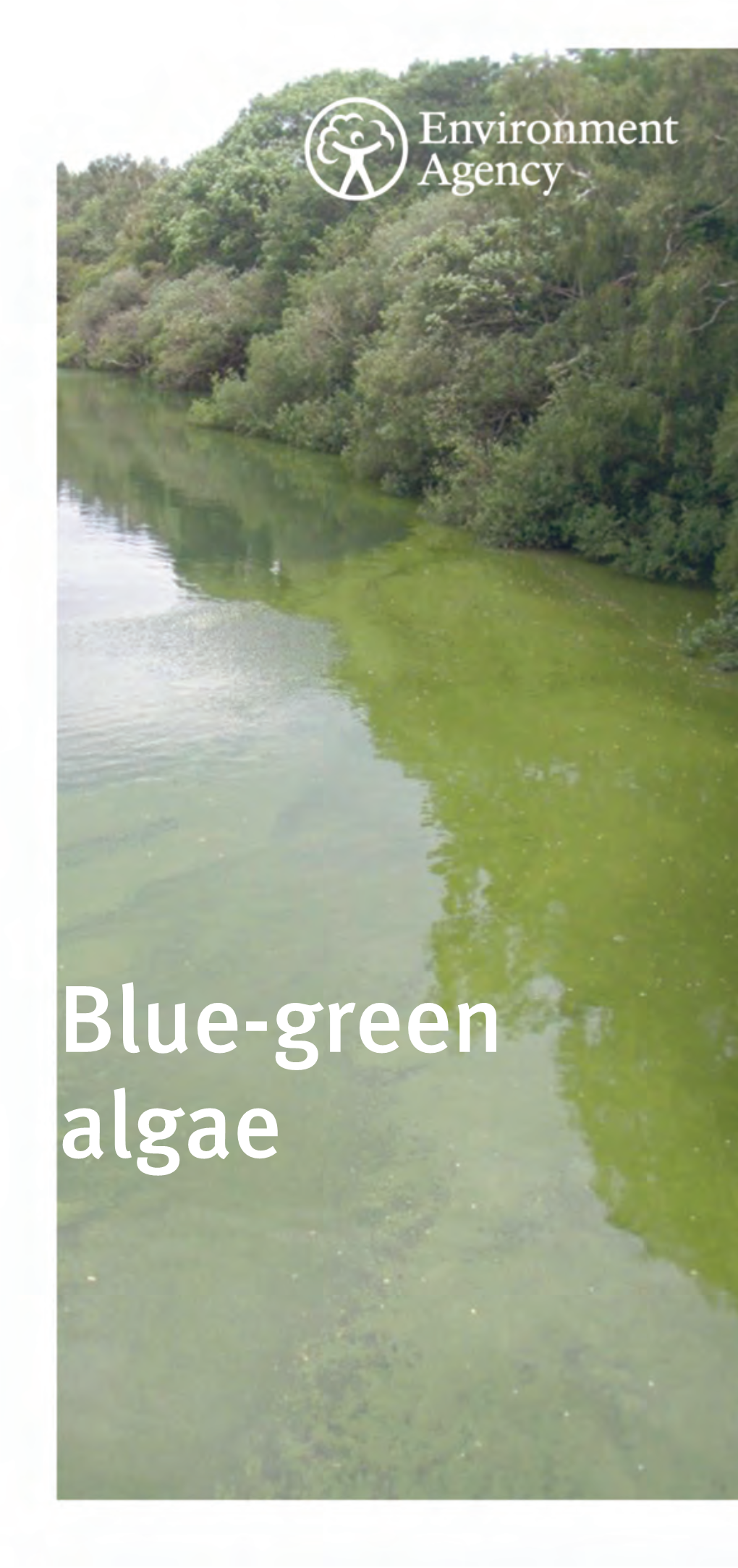 Blue Green Algae Leaflet