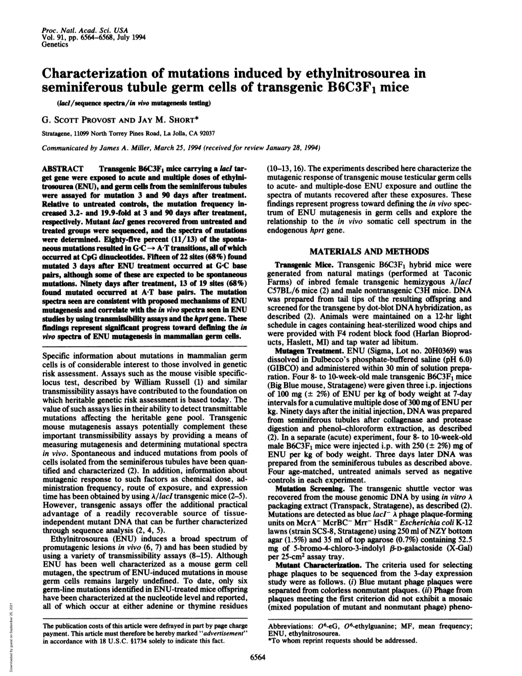 Characterization of Mutations Induced by Ethylnitrosourea in Seminiferous Tubule Germ Cells of Transgenic B6C3F1 Mice (Lad/Sequence Specta/In Vivo Mutagens Tino G