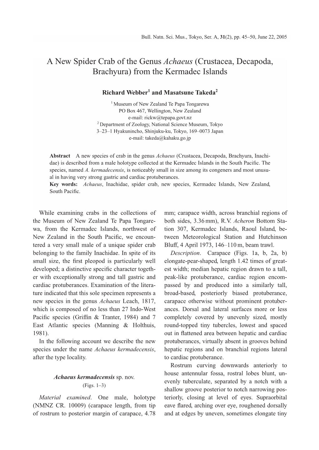 A New Spider Crab of the Genus Achaeus (Crustacea, Decapoda, Brachyura) from the Kermadec Islands