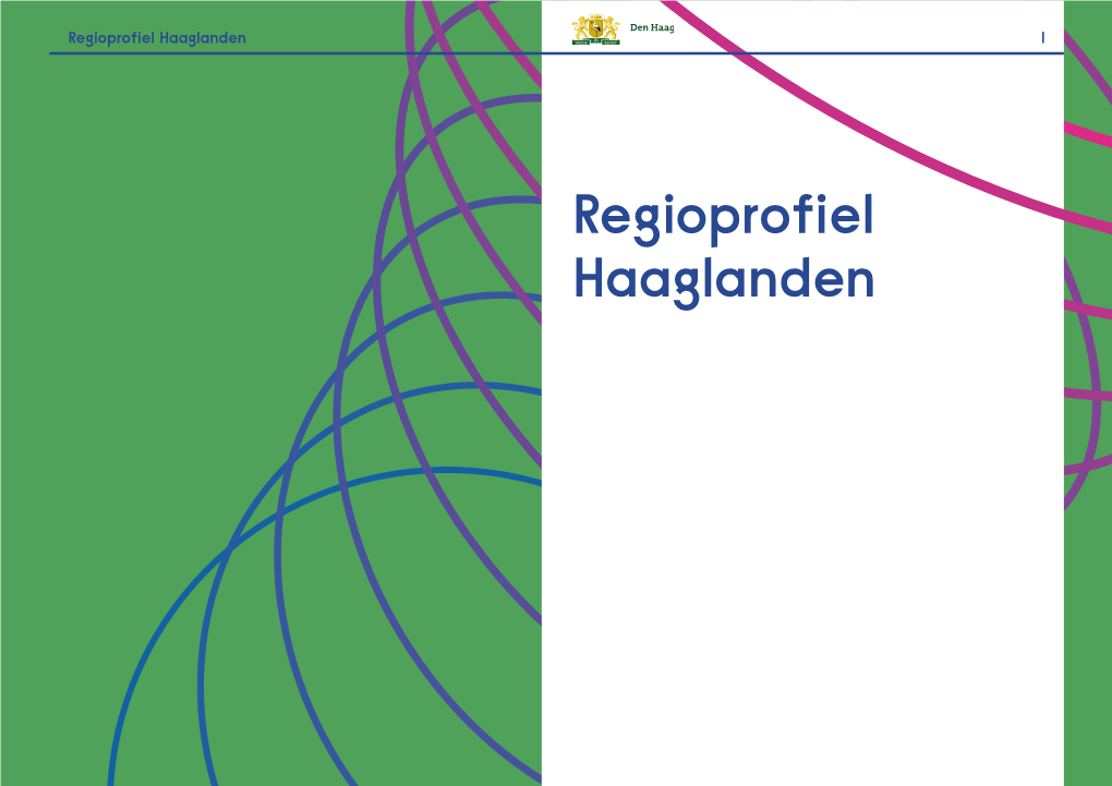 De Stedelijke Regio Haaglanden Is Holland in Het Klein