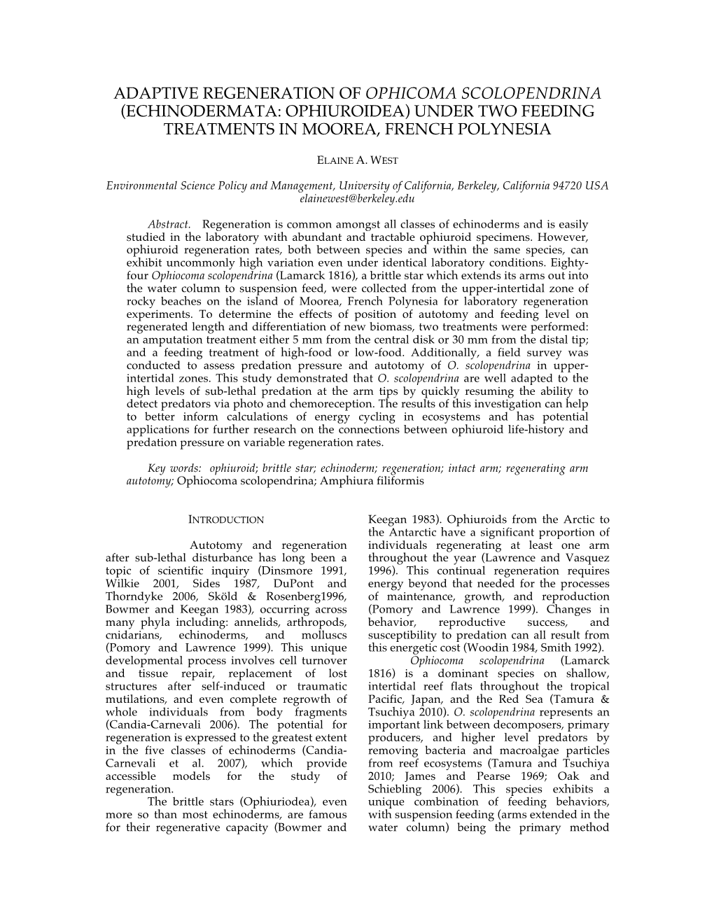 Echinodermata: Ophiuroidea) Under Two Feeding Treatments in Moorea, French Polynesia