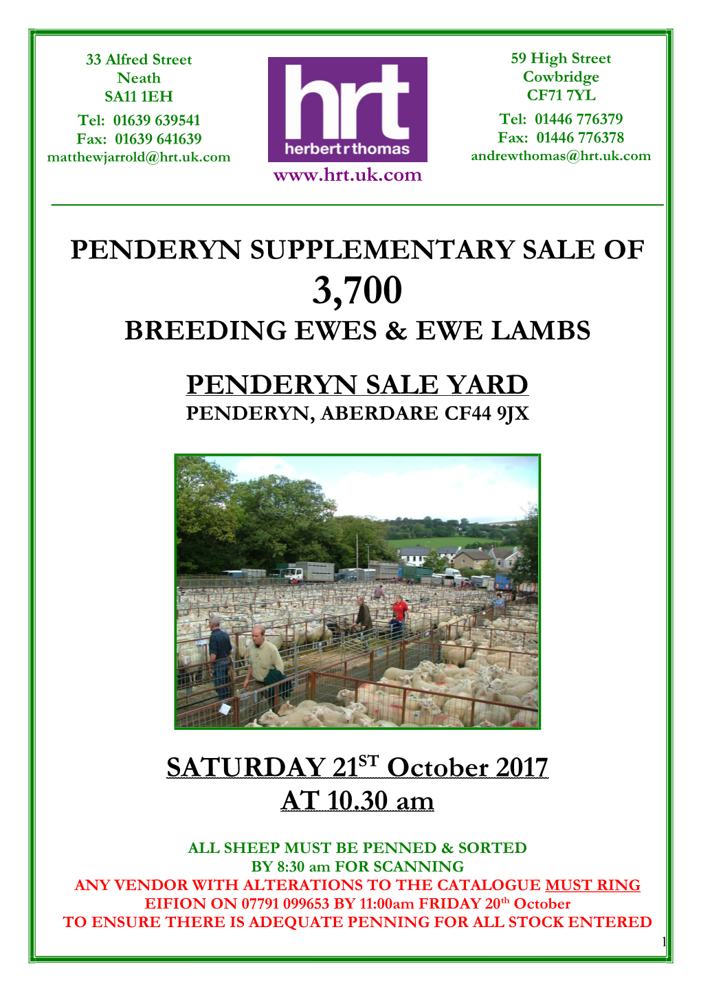 Penderyn Supplementary Sale of Breeding Ewes & Ewe