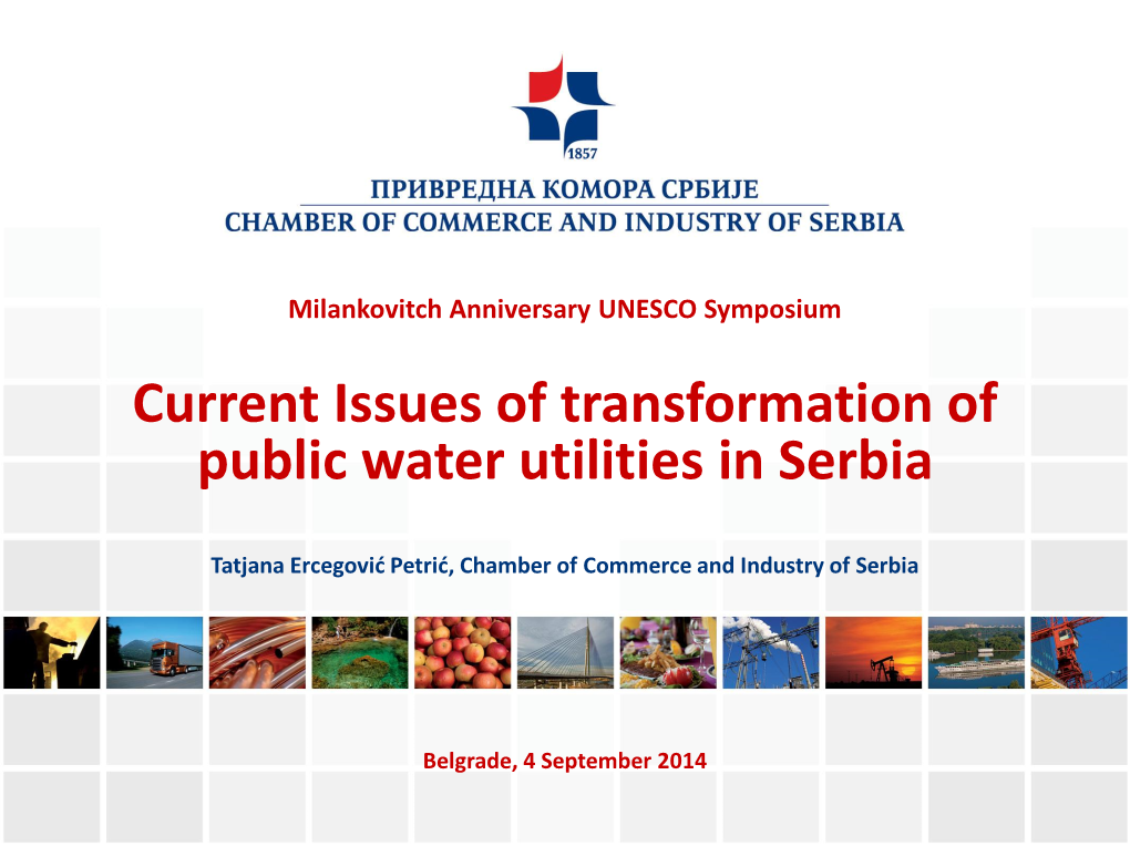 Current Issues of Transformation of Public Water Utilities in Serbia