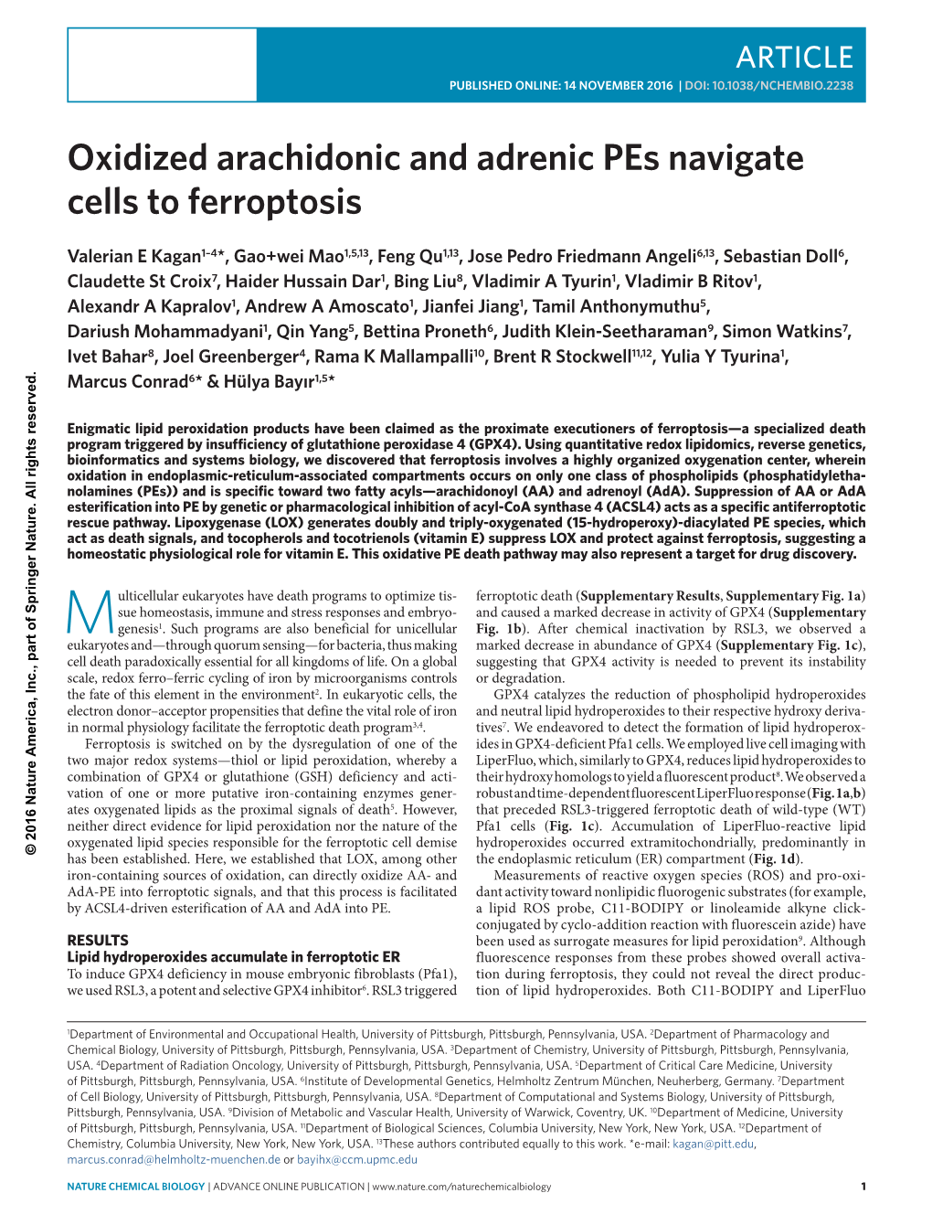 Oxidized Arachidonic and Adrenic Pes Navigate Cells to Ferroptosis
