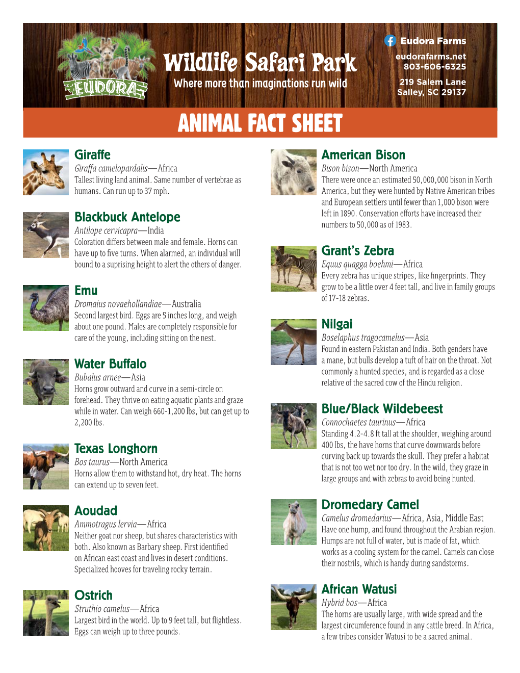 ANIMAL FACT SHEET Giraffe American Bison Giraffa Camelopardalis—Africa Bison Bison—North America Tallest Living Land Animal