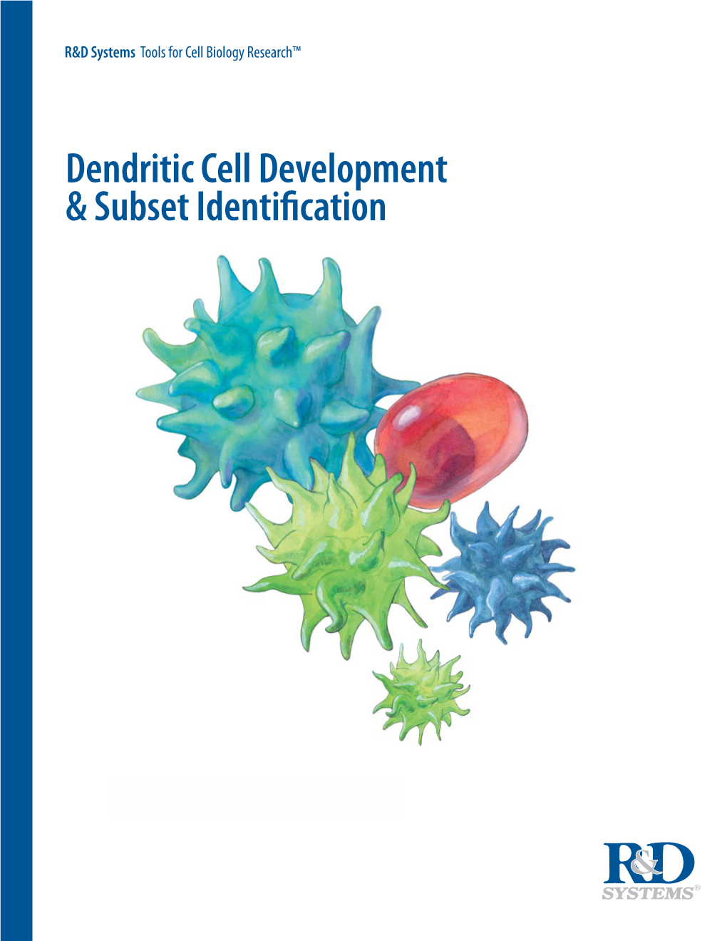 Dendritic Cell Development & Subset Identification