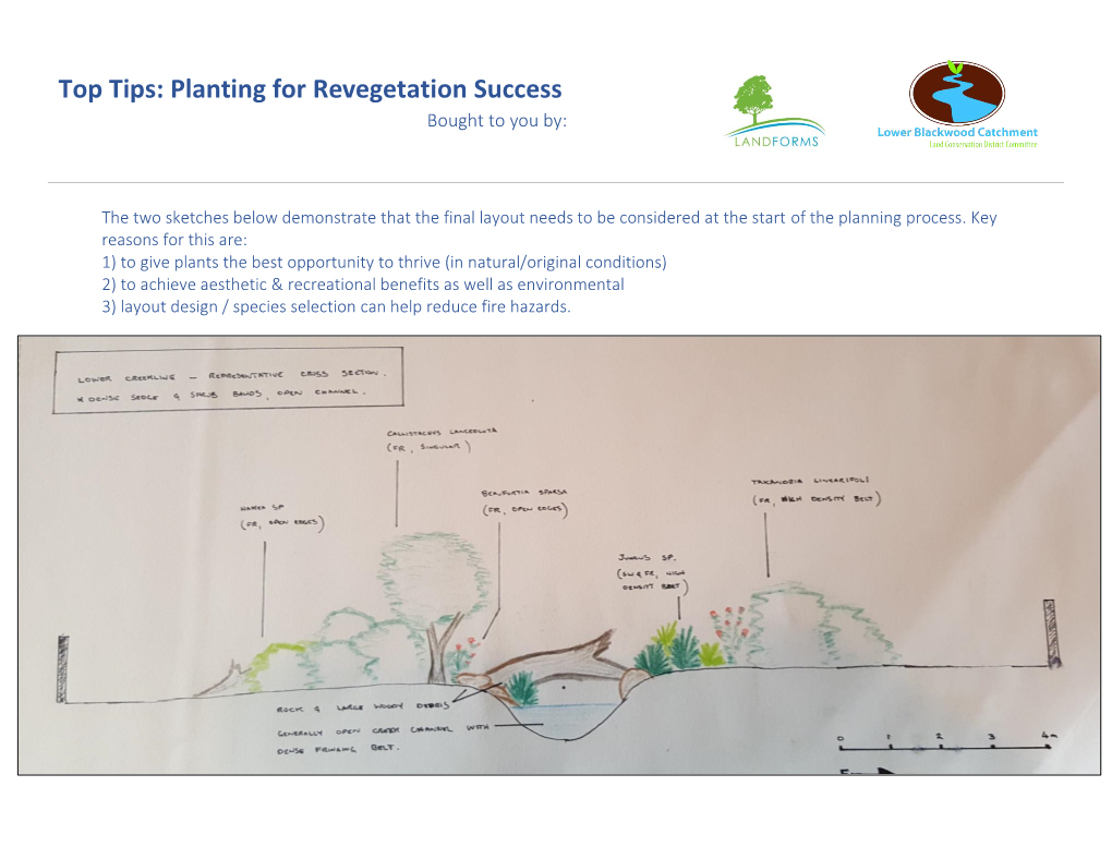 Planting for Revegetation Success Bought to You By