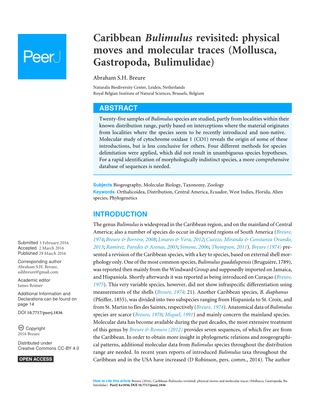 Caribbean Bulimulus Revisited: Physical Moves and Molecular Traces (Mollusca, Gastropoda, Bulimulidae)