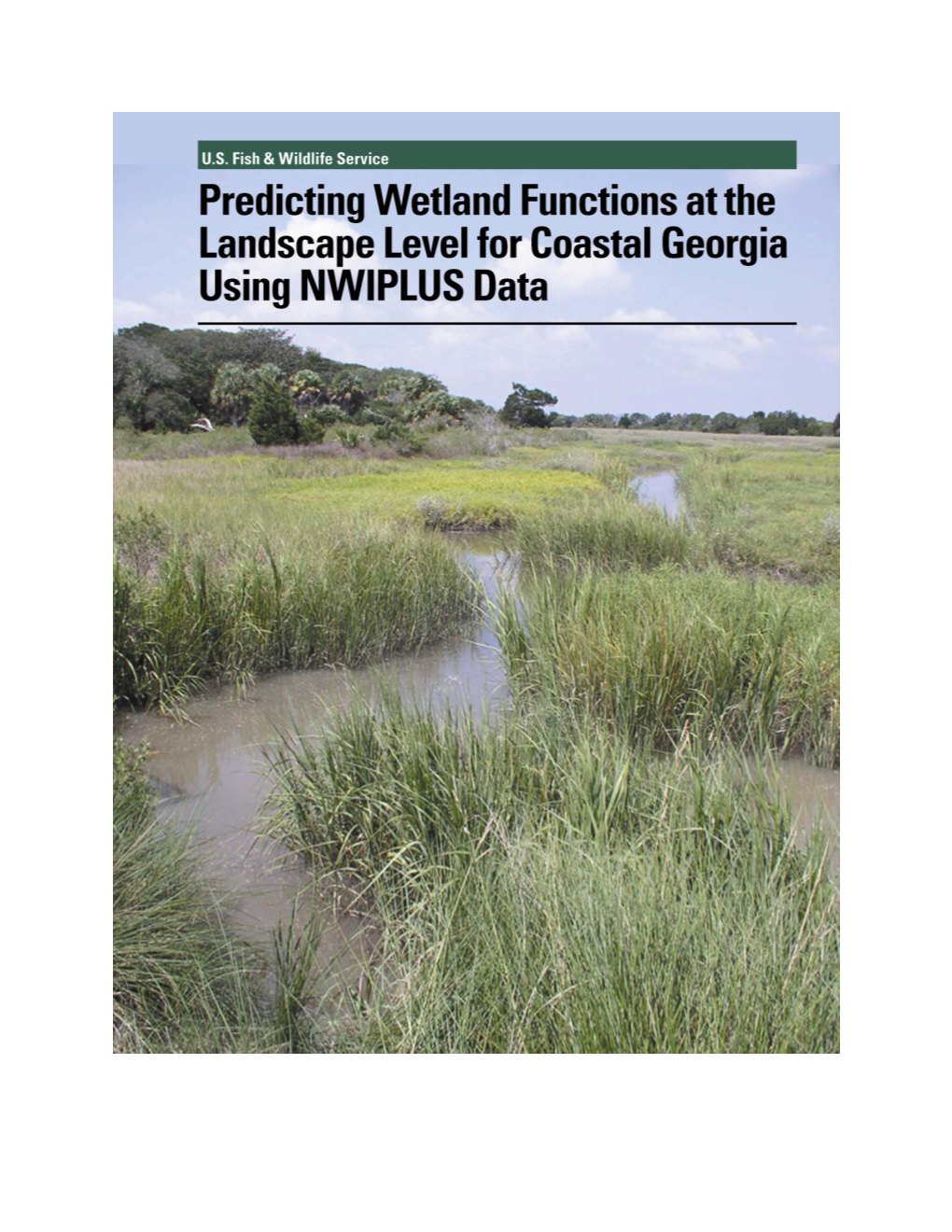 Predicting Wetland Functions at the Landscape Level for Coastal Georgia Using Nwiplus Data