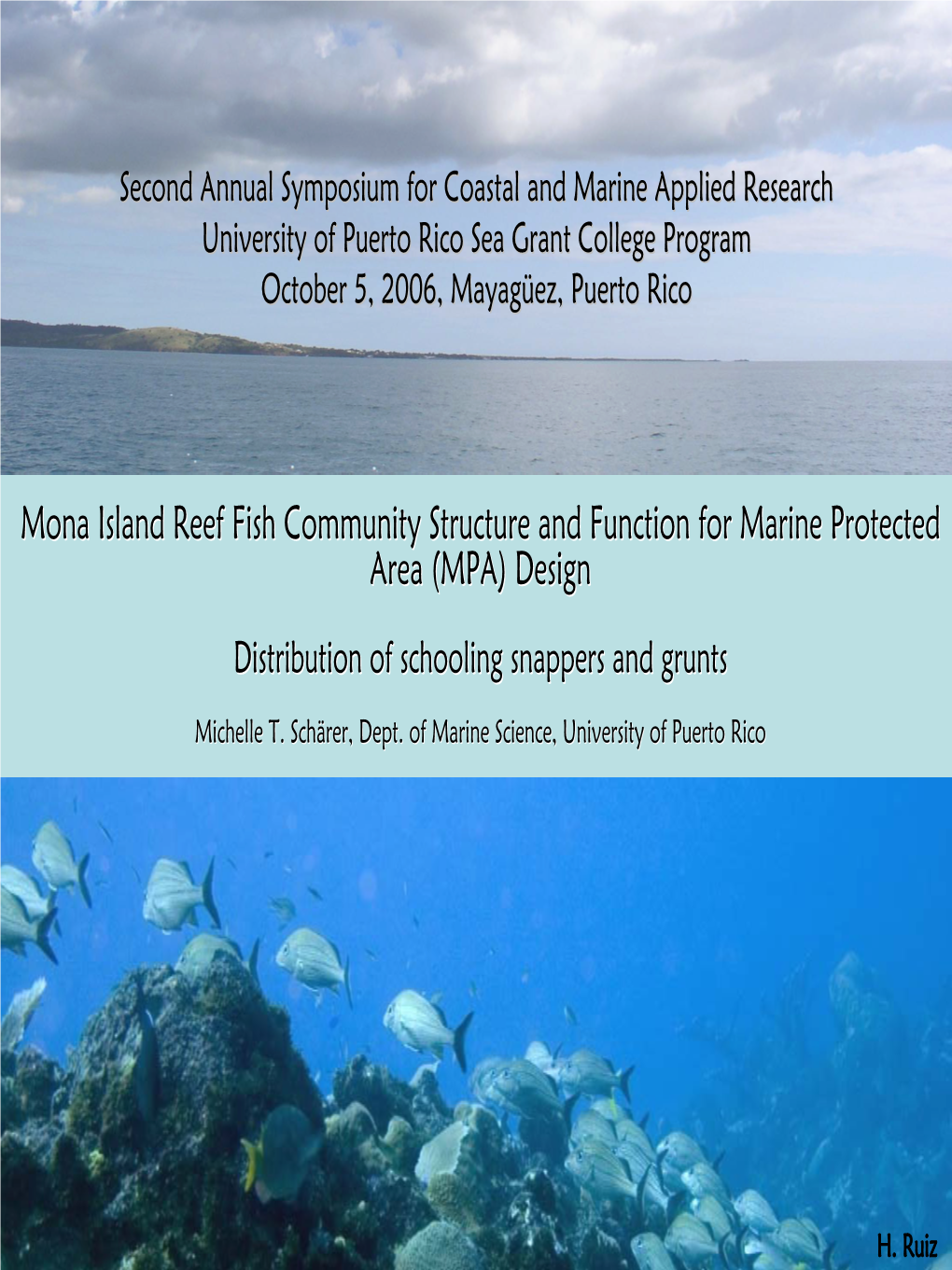 Distribution of Schooling Coral Reef Fish Species