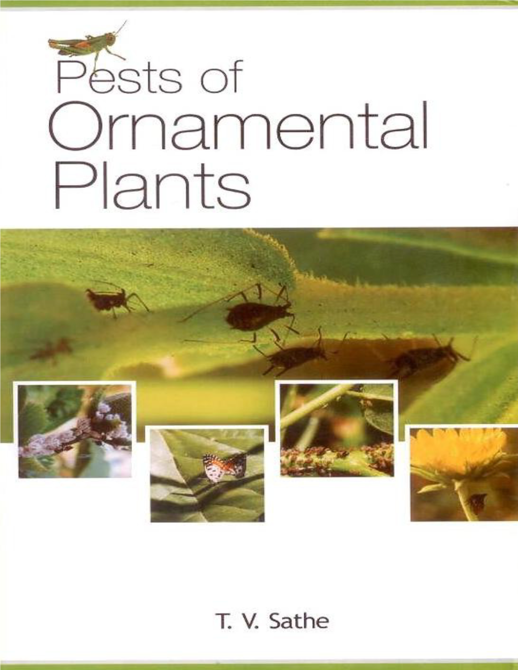 Pests of Ornamental Plants Pests of Ornamental Plants