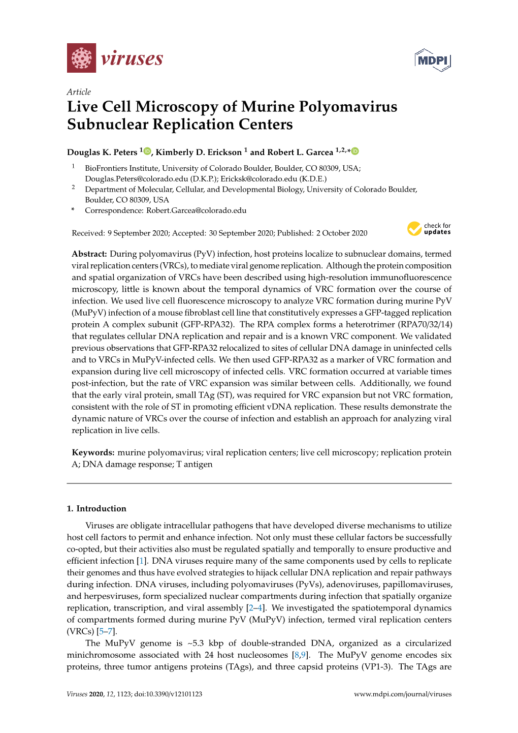 Live Cell Microscopy of Murine Polyomavirus Subnuclear Replication Centers