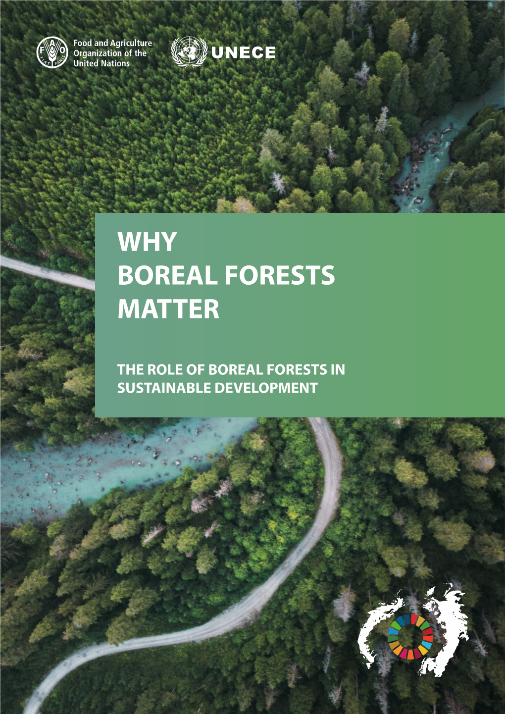 Why Boreal Forests Matter