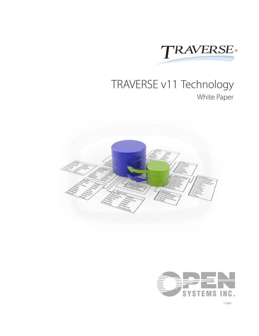 Trav11 Tech White Paper.Pdf