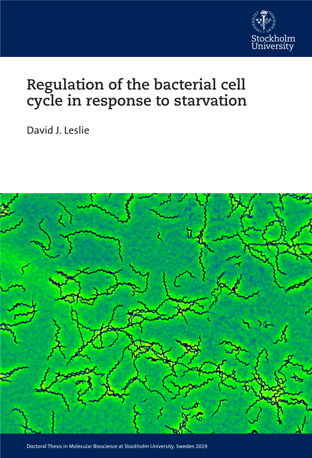 Regulation of the Bacterial Cell Cycle in Response to Starvation David J