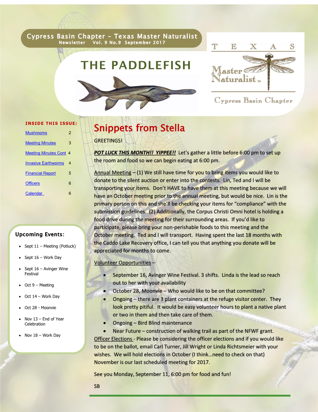 The Paddlefish
