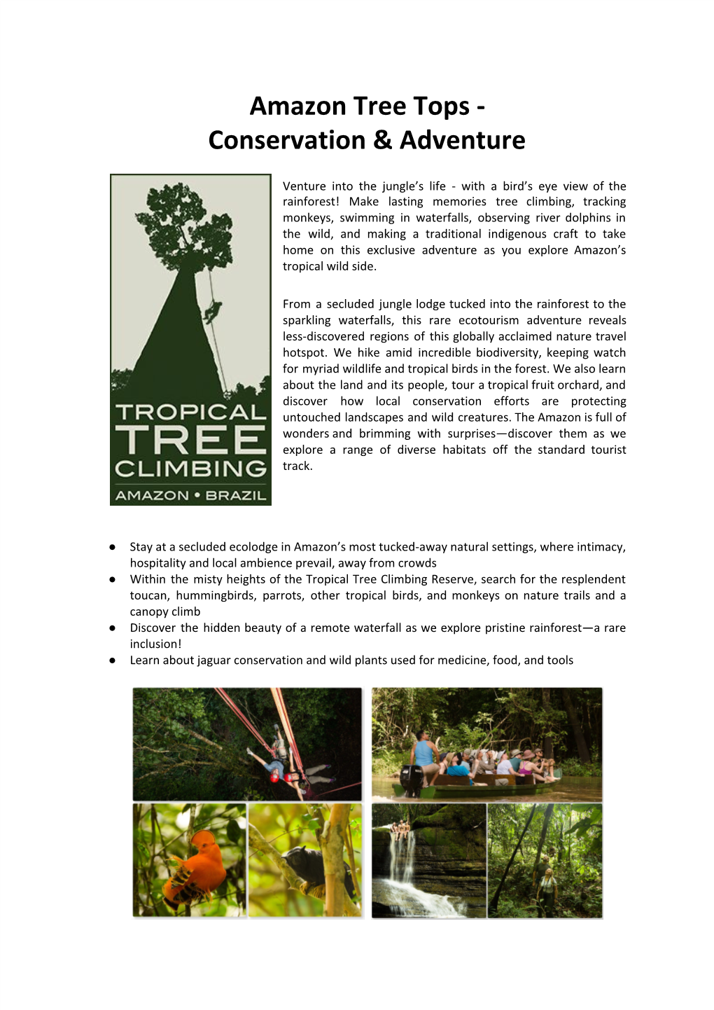 Amazon Tree Tops - Conservation & Adventure