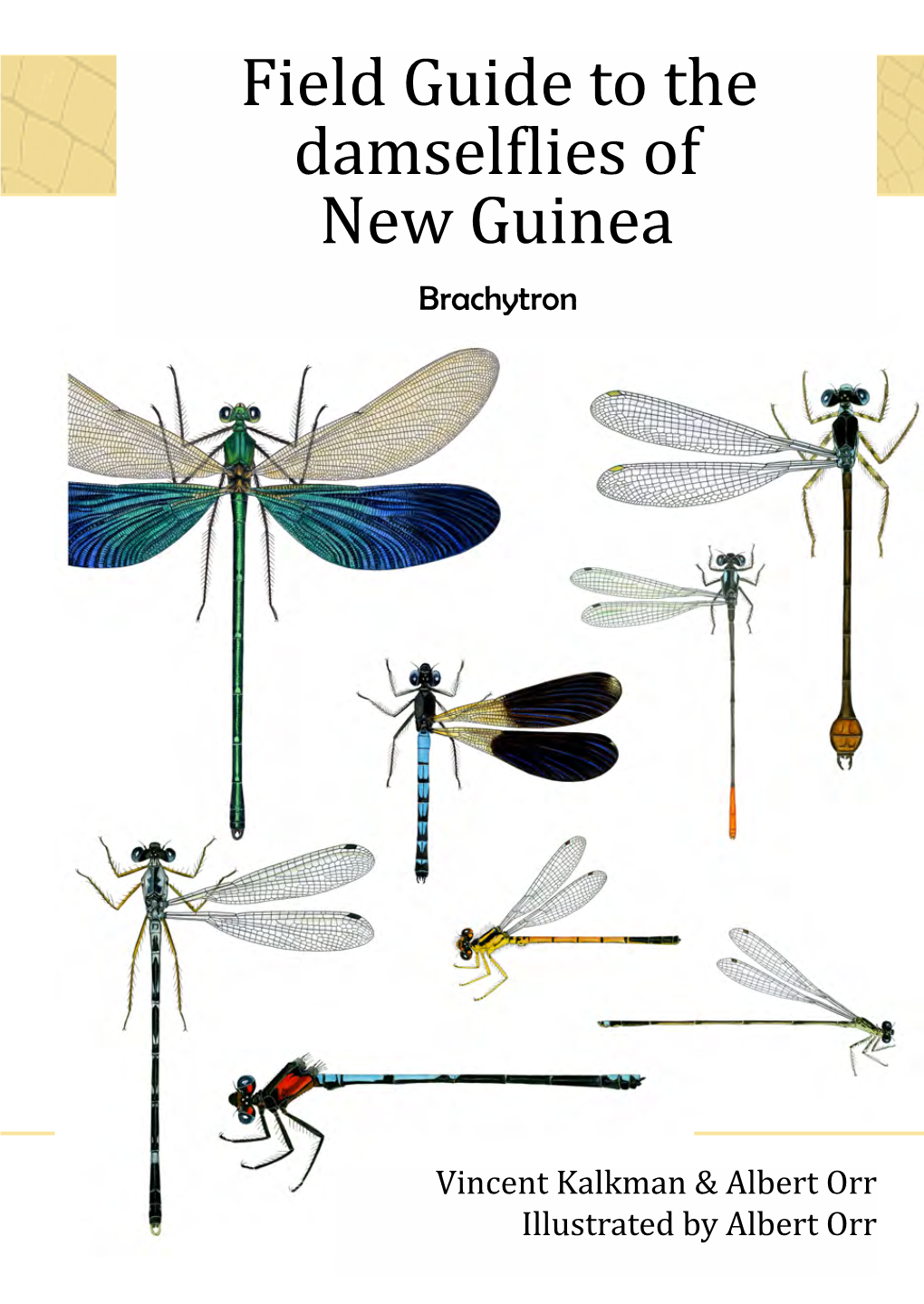 New Guinea Damselfliesbrachytron of Jaargang 15 (2), Januari 2013