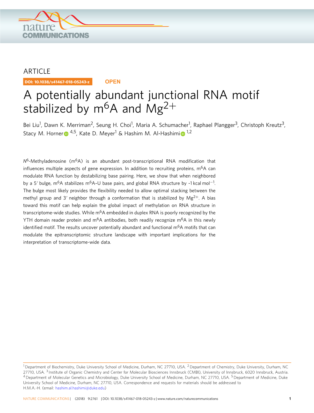 A Potentially Abundant Junctional RNA Motif Stabilized by M6a and Mg2+