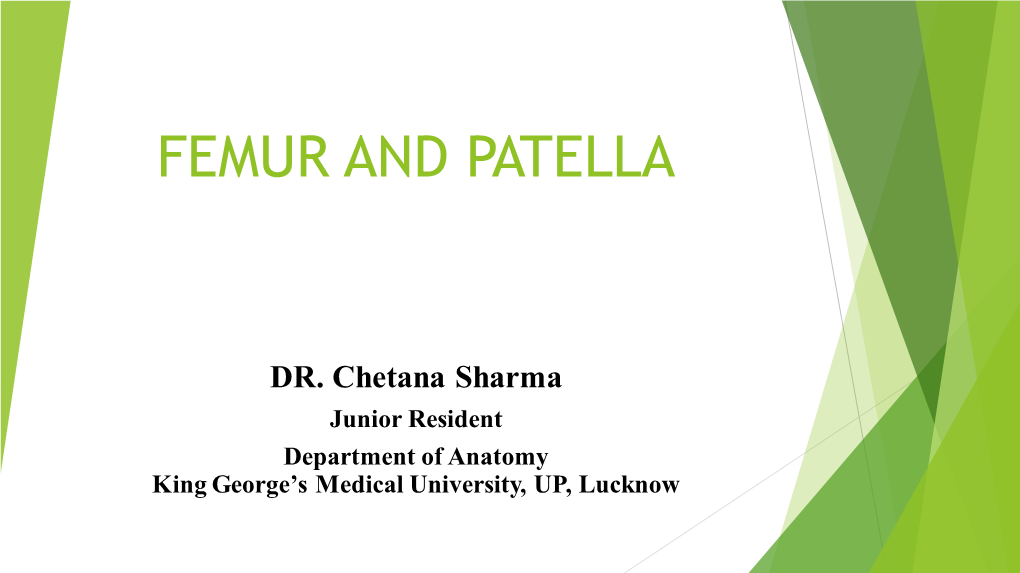 Femur and Patella