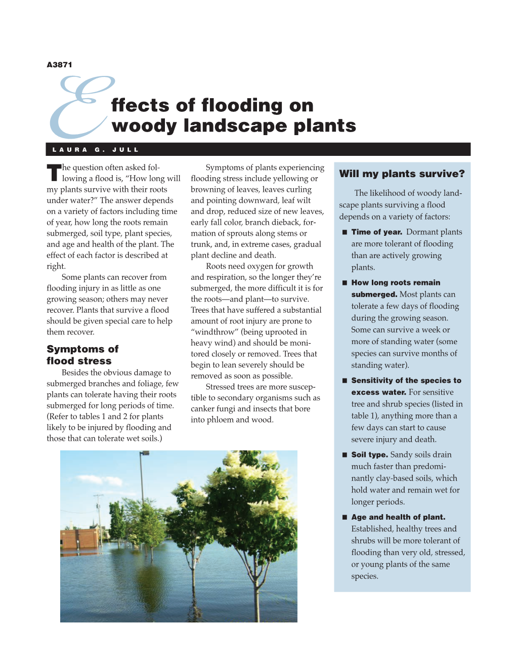 Effects of Flooding on Woody Landscape Plants (A3871)
